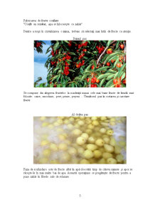 Condiționarea și păstrarea produselor agricole - fructele confiate - Pagina 5