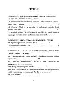 Caiet de practică - SC Dasi Premium Construct SRL - Pagina 2