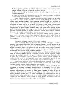 Organizarea Sistemului Bancar din România - Pagina 3