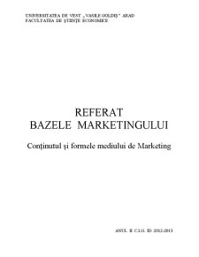 Bazele marketingului - conținutul și formele mediului de marketing - Pagina 1
