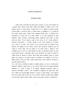Salvia Officinalis - Pagina 1