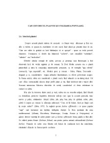 Salvia Officinalis - Pagina 3