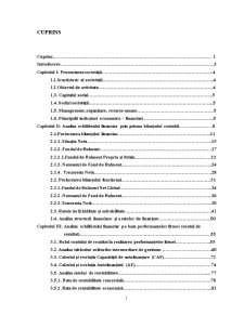 Analiza financiară pe exemplul SC Casielma SRL Ivești - Pagina 1