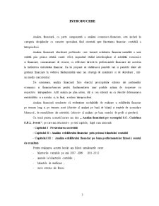 Analiza financiară pe exemplul SC Casielma SRL Ivești - Pagina 3