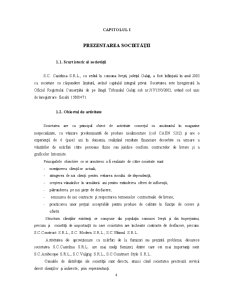 Analiza financiară pe exemplul SC Casielma SRL Ivești - Pagina 4