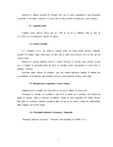 Analiza financiară pe exemplul SC Casielma SRL Ivești - Pagina 5