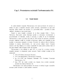 Raport de analiză - Turbomecanica București - Pagina 3