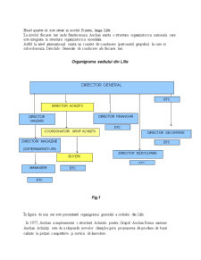 Proiectarea Sistemului Informațional al Departamentului de Achiziții Auchan - Pagina 5