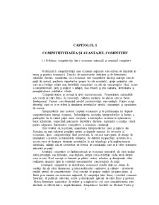 Competitivitatea Economică și Avantajele Competitive ale Firmelor - Pagina 5