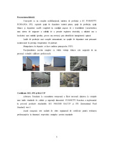 Tehnologia de obținere a preparatelor din foietaj - Fornetti - Pagina 5