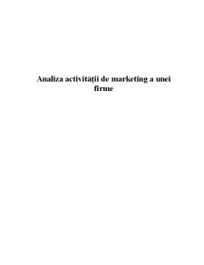 Analiza Activității de Marketing a Unei Firme - Pagina 2
