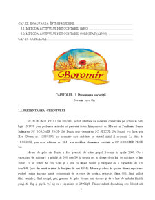 Raport de evaluare SC Boromir Prod SA Buzău - Pagina 3