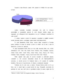 Analiza Firmei SC Mefin SA - Pagina 2