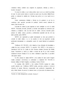 Analiza Firmei SC Mefin SA - Pagina 3