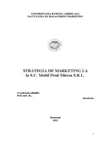 Strategia de Marketing la SC Mobil Prod Mircea SRL - Pagina 2