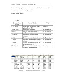 Sisteme de Asistare a Deciziilor - Pagina 212
