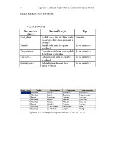 Sisteme de Asistare a Deciziilor - Pagina 215