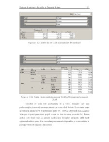 Sisteme de Asistare a Deciziilor - Pagina 230