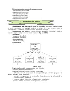 Sisteme și Metode de Management - Pagina 1