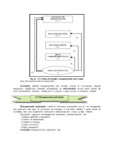 Sisteme și Metode de Management - Pagina 5