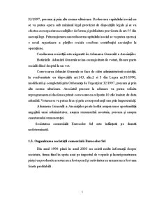 Modelare Economica a Imobilizărilor Existente în Cadrul Firmei SC Eurocolor SRL - Pagina 5