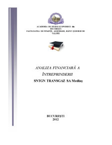 Analiza Financiară a Întreprinderii SNTGN Transgaz SA Mediaș - Pagina 1