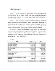 Analiza Financiară a Întreprinderii SNTGN Transgaz SA Mediaș - Pagina 3
