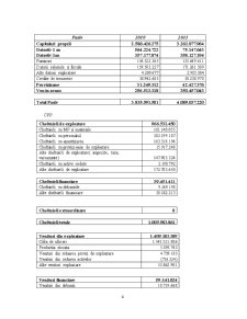 Analiza Financiară a Întreprinderii SNTGN Transgaz SA Mediaș - Pagina 4