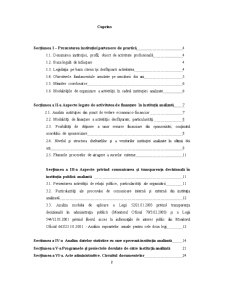 Practică de specialitate în administrația publică - Primăria Municipiului București - Pagina 2