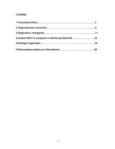 Reproiectarea managerială a băncii Credit Europe Bank (România) SA - Pagina 2