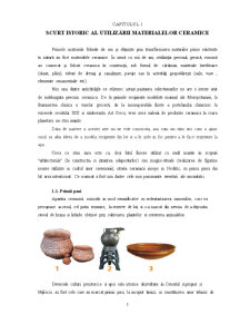 Materiale Ceramice Utilizate în Industrie - Pagina 5