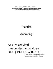 Marketingul întreprinderii individuale Onuț Petrica Ionuț - Pagina 1