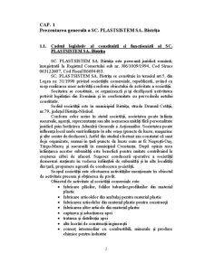 Contabilitatea mărfurilor în comerțul cu ridicata la SC Plastsistem SA Bistrița - Pagina 3
