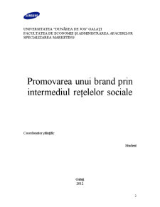 Promovarea unui Brand prin Intermediul Rețelelor Sociale - Pagina 2