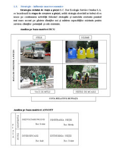 Serviciile de Salubrizare Stradală și Menajeră Amenajarea și Întreținerea Spațiilor Verzi - Pagina 4