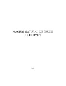 Magiun Natural de Prune - Topoloveni - Pagina 1