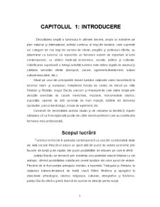 Valorificarea Potențialului Turistic al Județului Bacău - Pagina 3