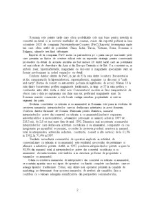 Comerțul en-detail la Limita dintre Butic și Marea Distribuție - Pagina 2
