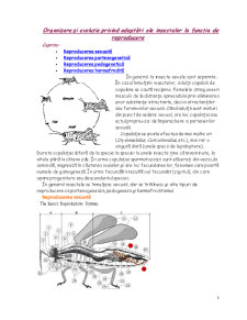 Organizare și Evoluție privind Adaptări ale Insectelor la Funcția de Reproducere - Pagina 1