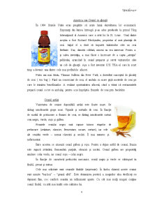 Comportamentul consumatorului - Unilever - Pagina 3