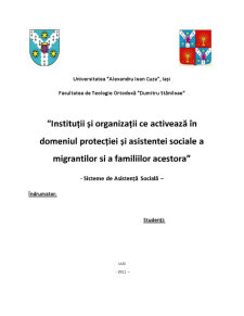Instituții și Organizații ce Activează în Domeniul Protecției și Asistentei Sociale a Migrantilor și a Familiilor Acestora - Pagina 1