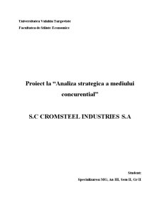 Analiza strategică a mediului concurențial - SC Cromsteel Industries SA - Pagina 1