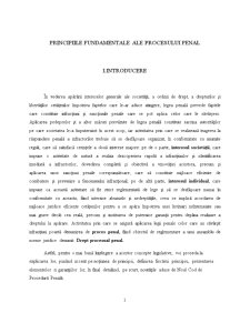 Principii Fundamentale ale Procesului Penal - Pagina 3