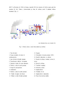 Studiu de impact al unei termocentrale pe cărbune - Pagina 4