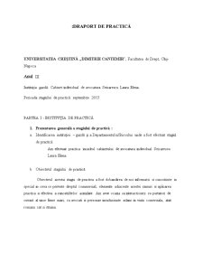 Referat practică - analiza unei decizii penale - Pagina 1