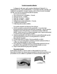 Sistemul de frânare - Pagina 4