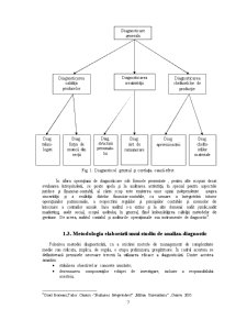 Analiza diagnostic a activității Oltchim SA - Pagina 5