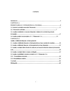 Analiza bilanțului funcțional la SC Nitramonia SA - Pagina 1