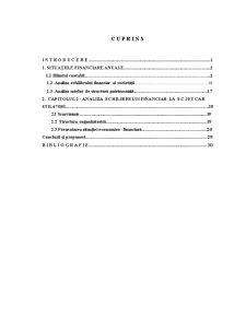Analiza echilibrului financiar la SC Jet Car Stil SRL - Pagina 2