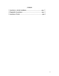 Amortizarea Activelor Imobilizate și Amortizarea Fiscală - Pagina 2